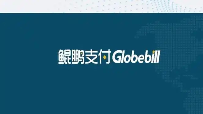 重庆鲲鹏支付服务有限公司