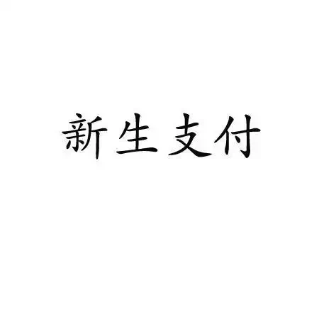 新生支付有限公司