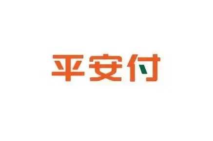 平安付电子支付有限公司